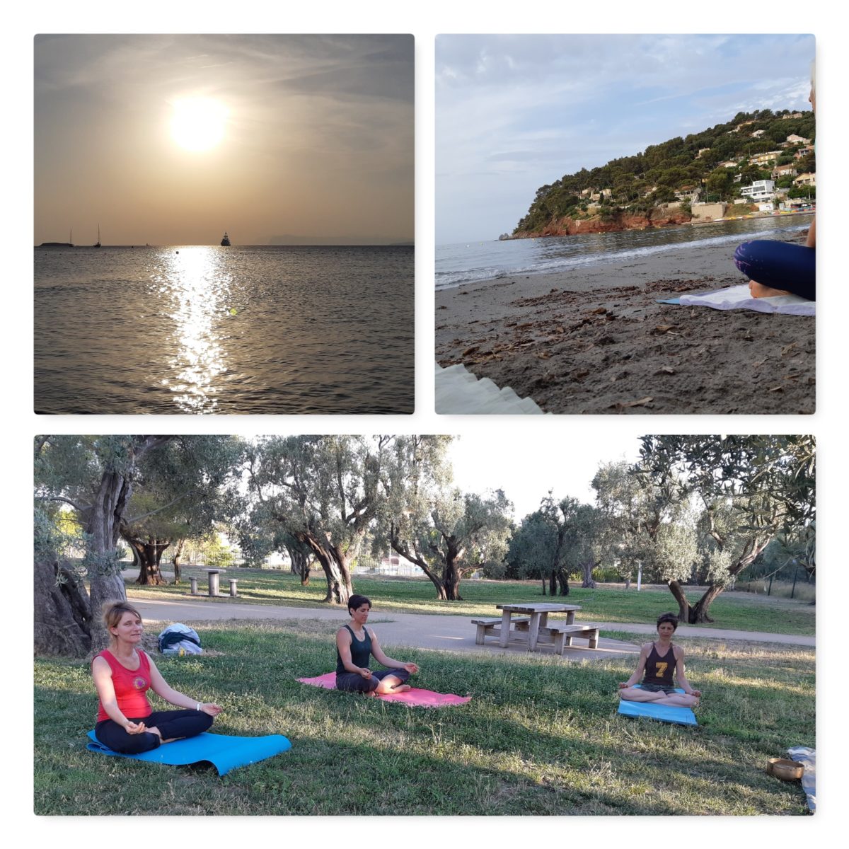 L'UNION DU YOGA